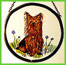 Yorkshire Terrier - Roundelette