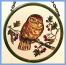 Little Owl - 4" Roundel