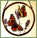 Butterflies - Tortoiseshell - Roundelette