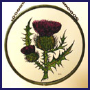 Thistle