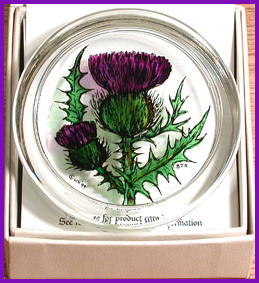 Scottish Thistle