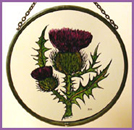Thistle - 6" Roundel